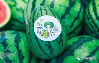 杭州瓜妈最新爆料,揭秘XX事件背后真相