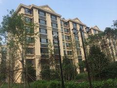 枫丹实景爆料最新消息今天,今日热点聚焦