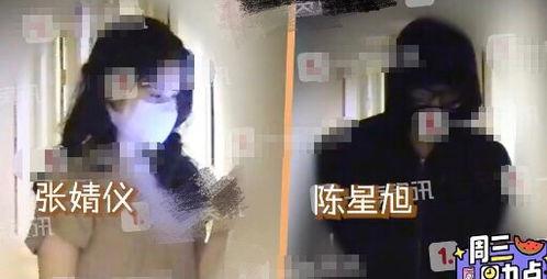 张婧仪恋情爆料最新,甜蜜互动引网友热议