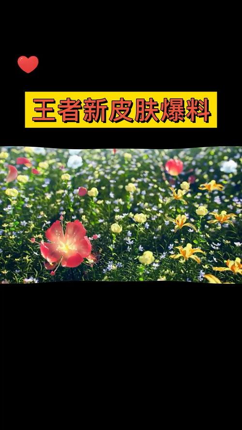 qq王者皮肤最新爆料在哪,惊艳亮相，神秘新皮肤即将登场！