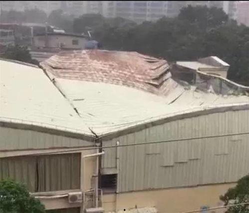 最新爆料台风事件有哪些,盘点近期风暴带来的影响与应对措施