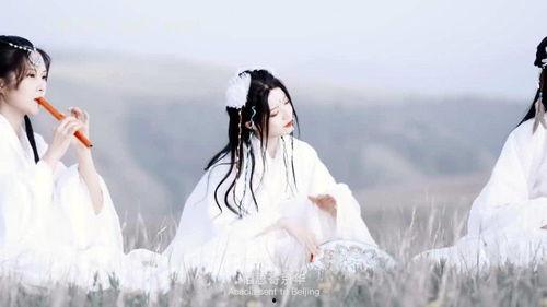 最新爆料古风歌曲有哪些